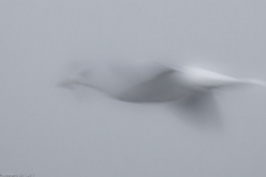 HR5_7592.jpg