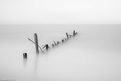 HR5_7664.jpg HR5_7664.jpg