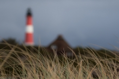 HR7_7252.jpg