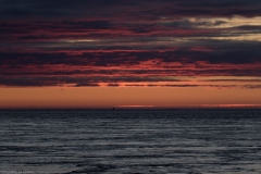 HR7_7828.jpg