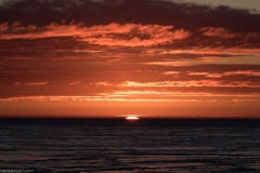 HR7_7844-2.jpg