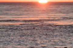 HR7_7852.jpg
