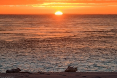 HR7_7855.jpg