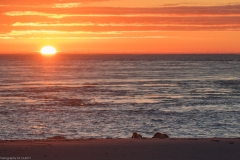 HR7_7859.jpg