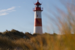 IMG_8162.jpg