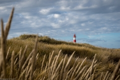 Sylt Herbst 2015