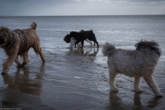 Sylt Herbst 2015