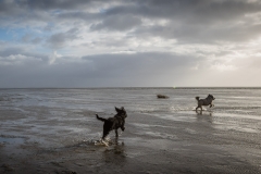 Sylt Herbst 2015