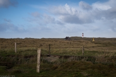 Sylt Herbst 2015