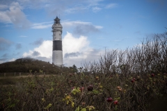 Sylt Herbst 2015