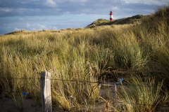Sylt Herbst 2015