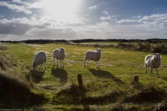 Sylt Herbst 2015