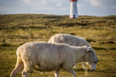 Sylt Herbst 2015