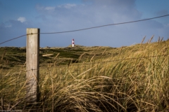 Sylt Herbst 2015
