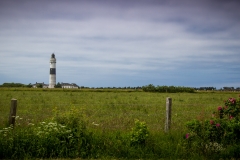 _MG_3490.jpg