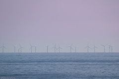 Windpark Butendiek 32km vor der Westküste Sylts