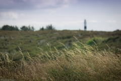 _R7_2784.jpg