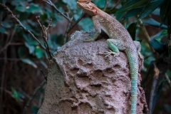 Tropenaquarium Hagenbeck 2016 Tropenaquarium Hagenbeck 2016