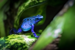 Tropenaquarium Hagenbeck 2016 Tropenaquarium Hagenbeck 2016