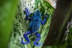 Tropenaquarium Hagenbeck 2016 Tropenaquarium Hagenbeck 2016