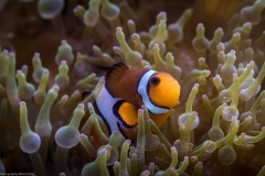 Tropenaquarium Hagenbeck 2016 Tropenaquarium Hagenbeck 2016