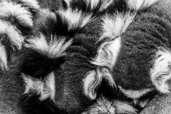 Tropenaquarium Hagenbeck 2016 Tropenaquarium Hagenbeck 2016