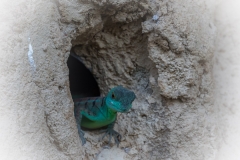 Tropenaquarium Hagenbeck 2016 Tropenaquarium Hagenbeck 2016