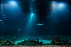 Tropenaquarium Hagenbeck 2016 Tropenaquarium Hagenbeck 2016