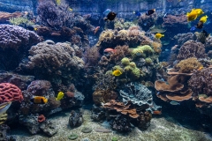 Tropenaquarium Hagenbeck 2016 Tropenaquarium Hagenbeck 2016