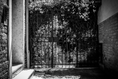 Venedig 2016 Venedig 2016
