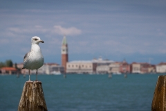 Venedig 2016