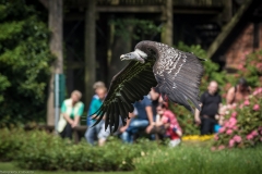 Vogelpark Walsrode