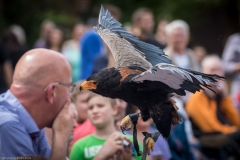 Vogelpark Walsrode