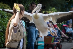 Weltvogelpark Walsrode 2016