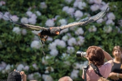 Weltvogelpark Walsrode 2016