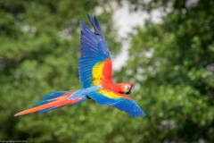 Weltvogelpark Walsrode 2016