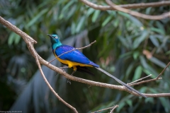 Weltvogelpark Walsrode 2016