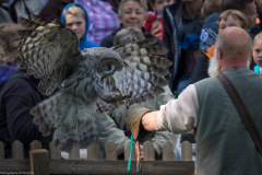 Wildpark Lüneburger Heide 2015 Wildpark Lüneburger Heide 2015