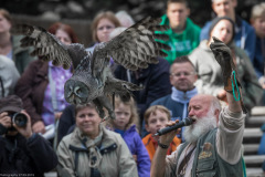 Wildpark Lüneburger Heide 2015 Wildpark Lüneburger Heide 2015