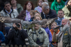 Wildpark Lüneburger Heide 2015 Wildpark Lüneburger Heide 2015