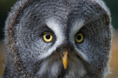Wildpark Lüneburger Heide 2015 Wildpark Lüneburger Heide 2015