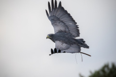 Wildpark Lüneburger Heide 2015 Wildpark Lüneburger Heide 2015