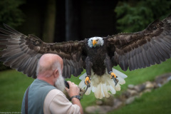Wildpark Lüneburger Heide 2015