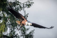 Wildpark Lüneburger Heide 2015