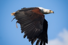 Wildpark Lüneburger Heide 2015