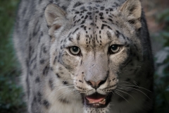 Wildpark Lüneburger Heide 2015