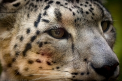 Wildpark Lüneburger Heide 2015 Wildpark Lüneburger Heide 2015