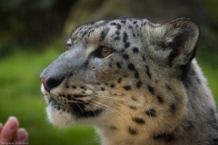 Wildpark Lüneburger Heide 2015 Wildpark Lüneburger Heide 2015