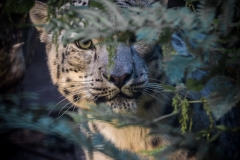 Wildpark Lüneburger Heide 2015 Wildpark Lüneburger Heide 2015