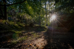 Wildpark Lüneburger Heide 2015 Wildpark Lüneburger Heide 2015